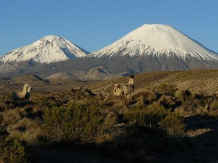 Chile-web.JPG